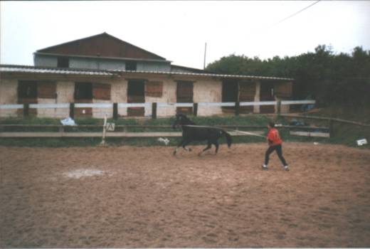 Centre Equestre de la Mauldre