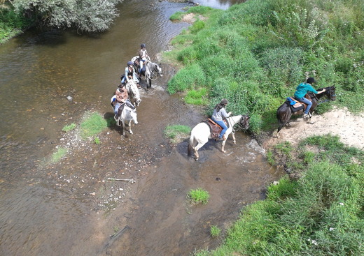 Country Pony Ranch