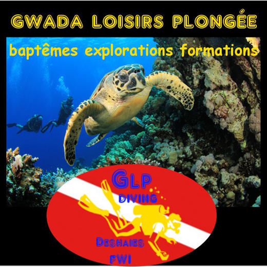 Gwadaloisirs Plongée Glpdiving