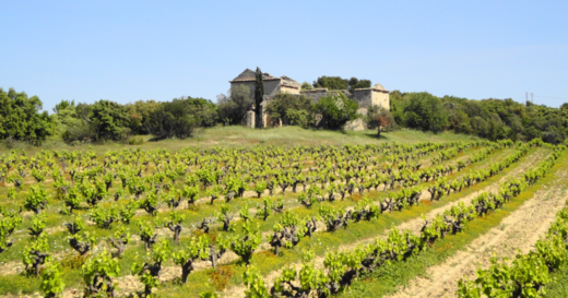 Le Vieux Manoir du Frigoulas