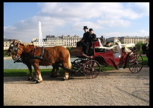 Les Attelages d'Ile de France