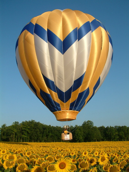 Montgolfière du Bocage