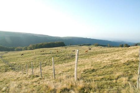 Plateau d'Estive de Pailherols